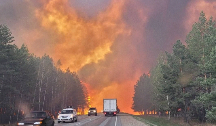 Al menos 3 muertos por incendios forestales en una región de Rusia, twitter