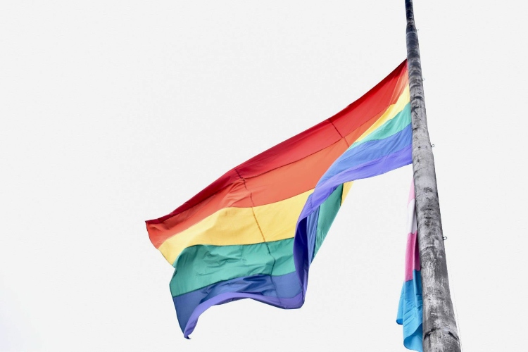 Casas LGBTI. – Redes.