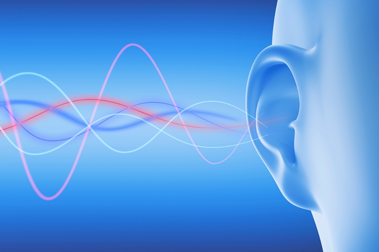 Descubren cómo funciona la audición en tiempo real para tratar la sordera