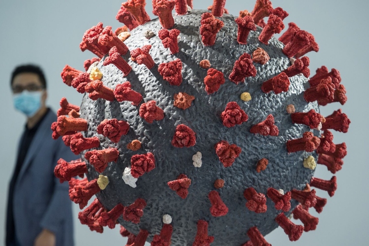 Científicos crean virus con IA para eliminar bacterias resistentes a antibióticos