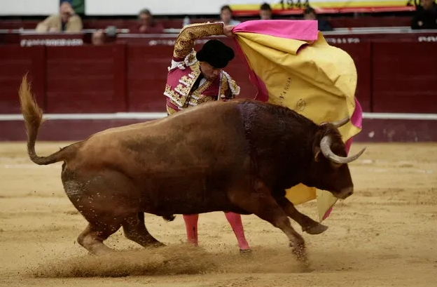 corridas de toros
