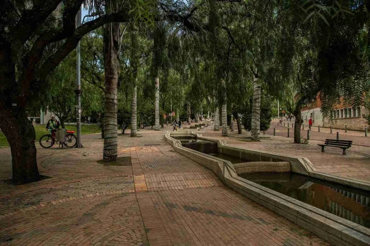 En video escándalo en el Eje Ambiental_ Vendedores ambulantes lavan pollo cerca a aguas contaminadas