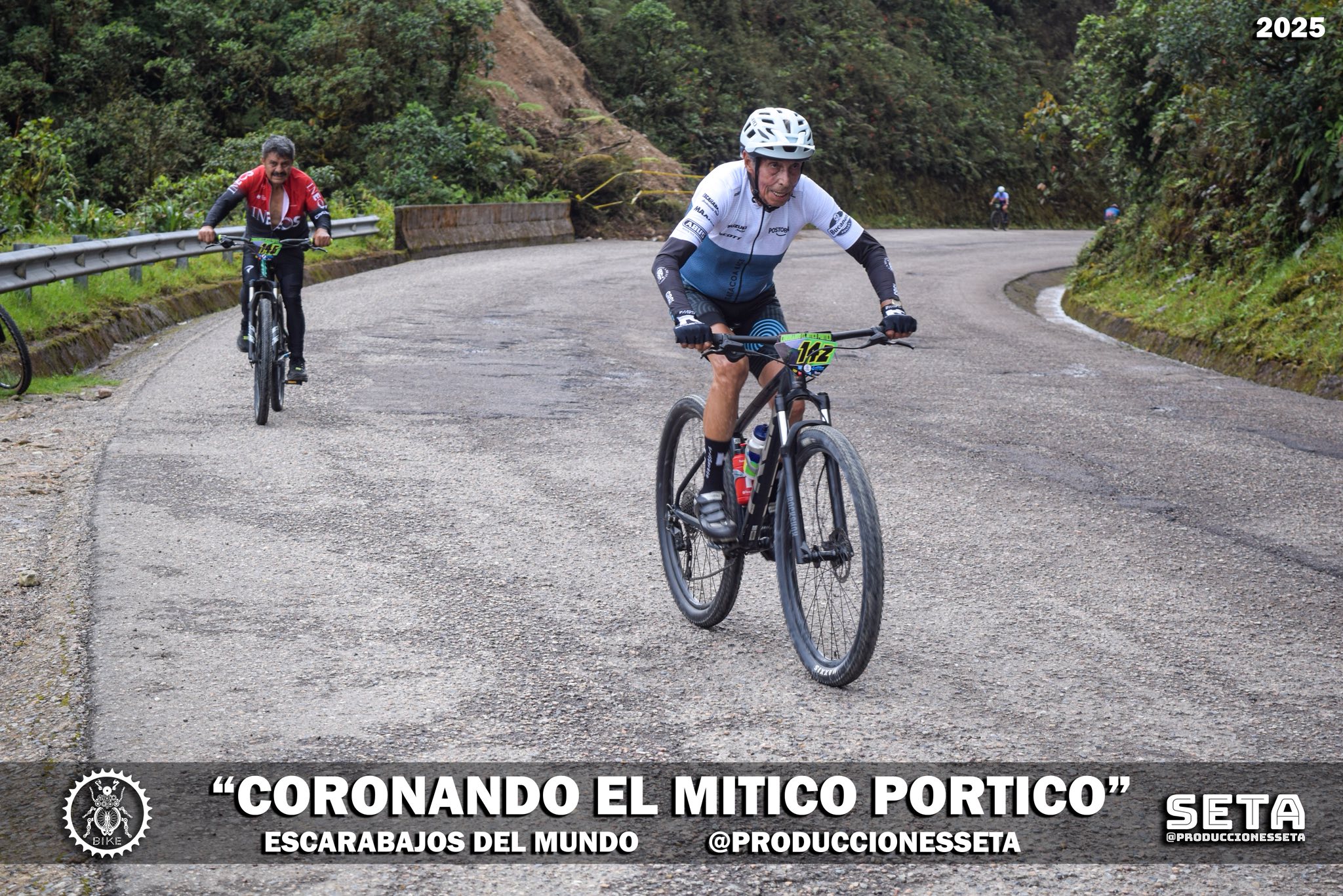 Un escarabajo eterno