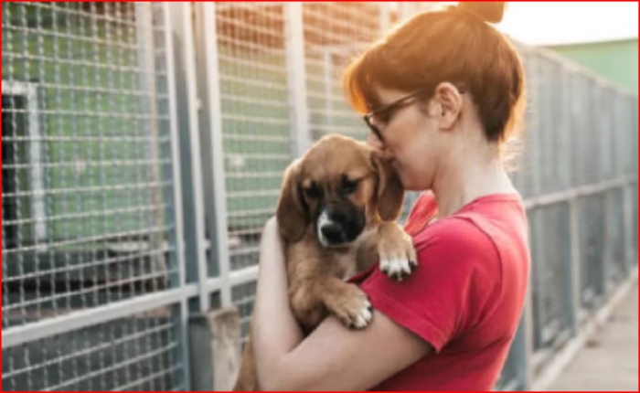 Efemérides- Dia del Perro adoptado- 23sep- tiktok-