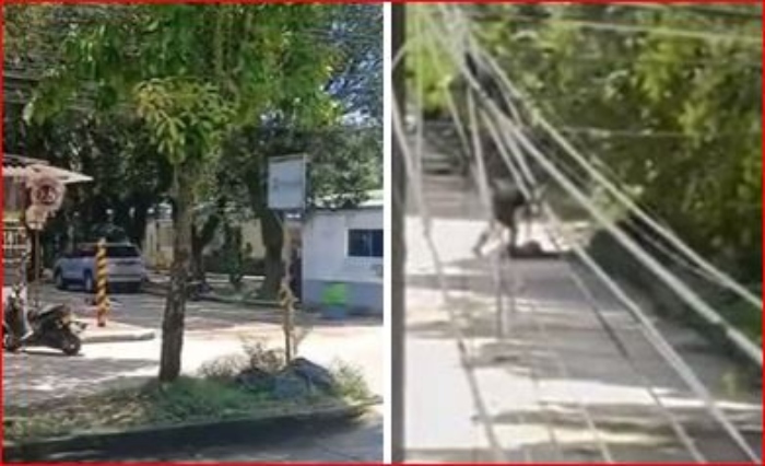 Arauca- Policía- Sijin- Saravena- 3Sep-