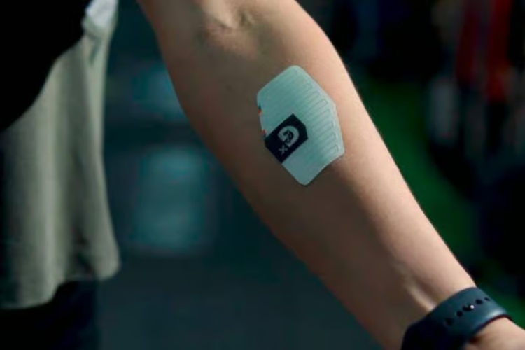 Parche inteligente analiza la salud a través del sudor