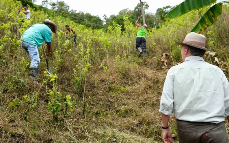 Cultivos en Nariño
