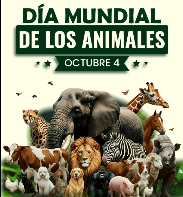 La vida también late en el silencio de quienes no hablan nuestro idioma