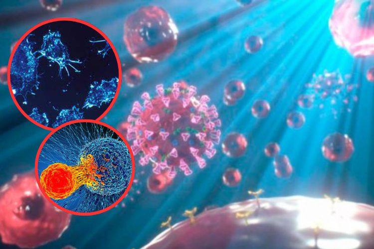 Luz LED elimina el 99% de las células cancerígenas de la piel en un nuevo tratamiento experimental