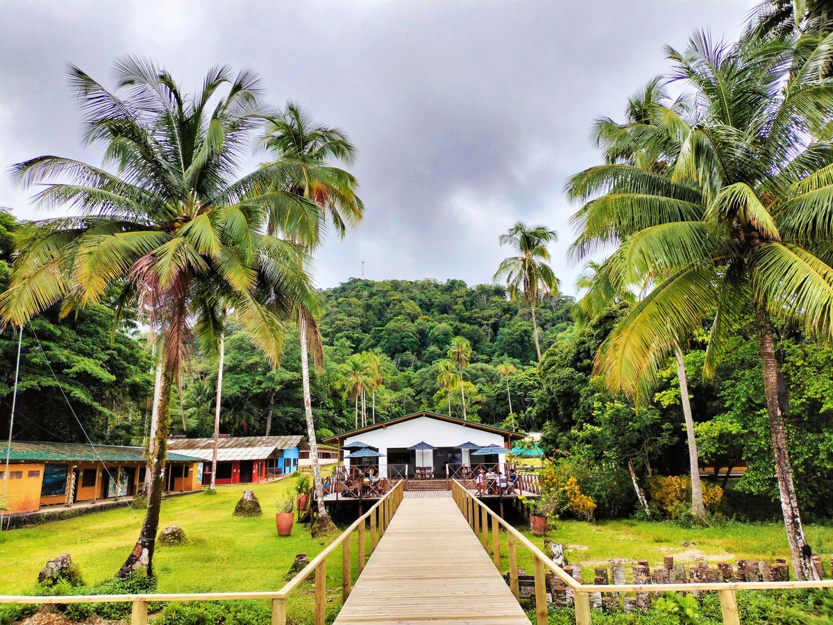 Guapi Cauca: el pueblo que enamora con sus paisajes y cultura afro del Pacífico colombiano un destino natural y cultural