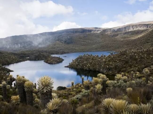 El Parque Nacional Natural Los Nevados anuncia cierre temporal: fechas y razones de la medida