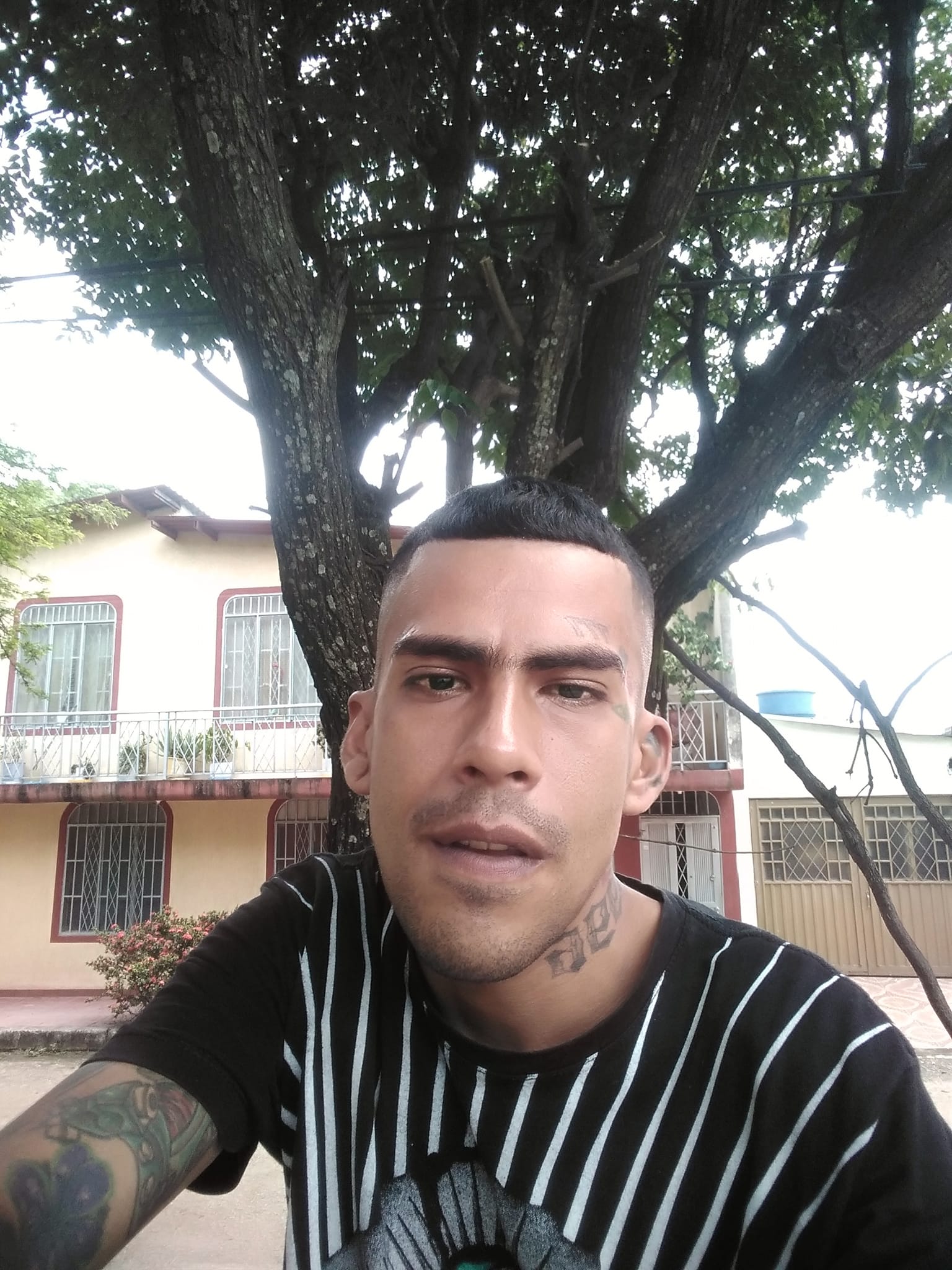Sangre y puñal