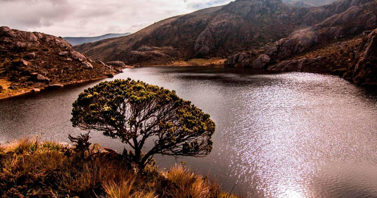 El rincón santandereano ideal para descansar entre vida silvestre y paisajes naturales