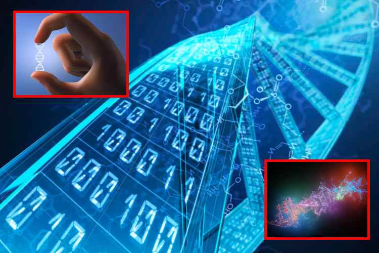 ADN sintético: el futuro del almacenamiento