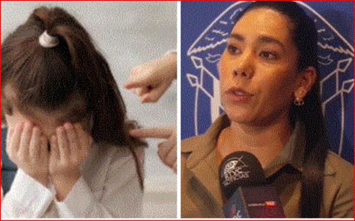 MinTic- Bullying- Cero Bullying- WhatsApp- ciberacoso-niños-Carina Murcia.- 3Dic-