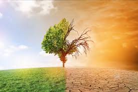 simulador de resiliencia climática para PYMES