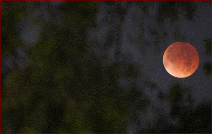 3 de marzo- Lina Sangre- Nasa- Colombia-
