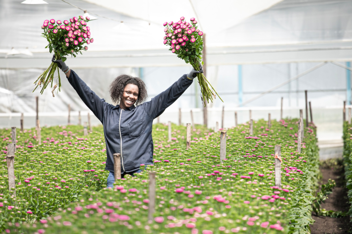 DíaMundiaDeLaMujer- 6MAR-efemérides- Asocolflores- Día de la Mujer- 8m- FLORES DE COLOMBIA-
