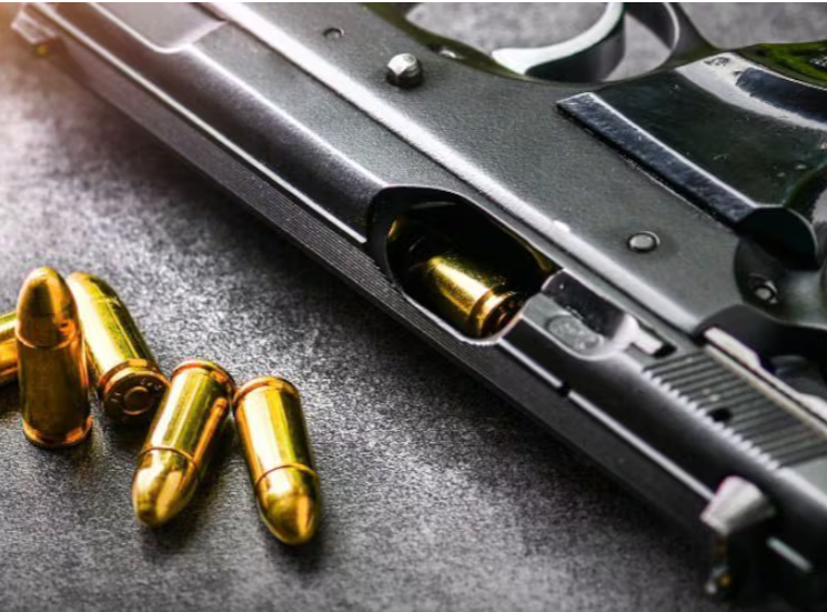 Documentos de Indumil evidencian aumento en la demanda de armas de defensa personal en Colombia