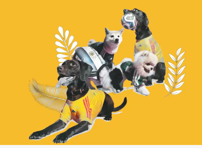 Mundial 2026: consejos clave para viajar con mascotas a las ciudades sede