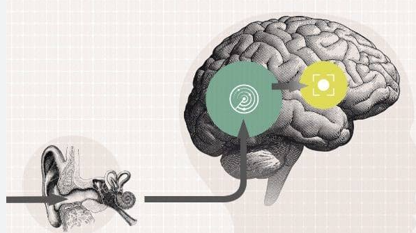 No solo afecta el oído: la pérdida auditiva también puede impactar la salud cerebral