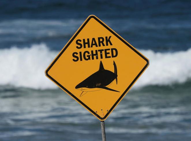 Tercer incidente fatal con tiburones en cuatro semanas en Australia involucra a un pescador submarino.
