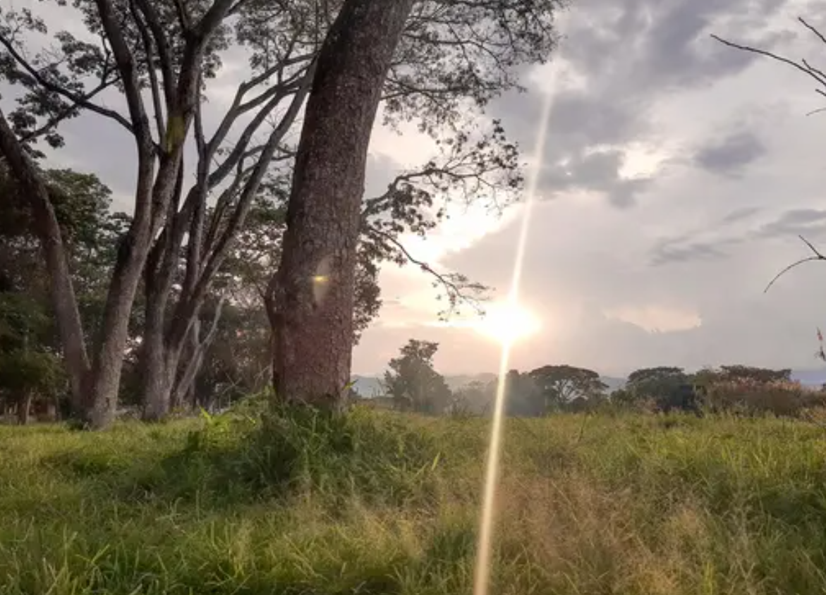Valle del Cauca llama a proteger la fauna y los ecosistemas ante la llegada del fenómeno de El Niño