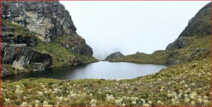 Día De Los Páramos: Colombia tiene una responsabilidad ambiental única en el mundo