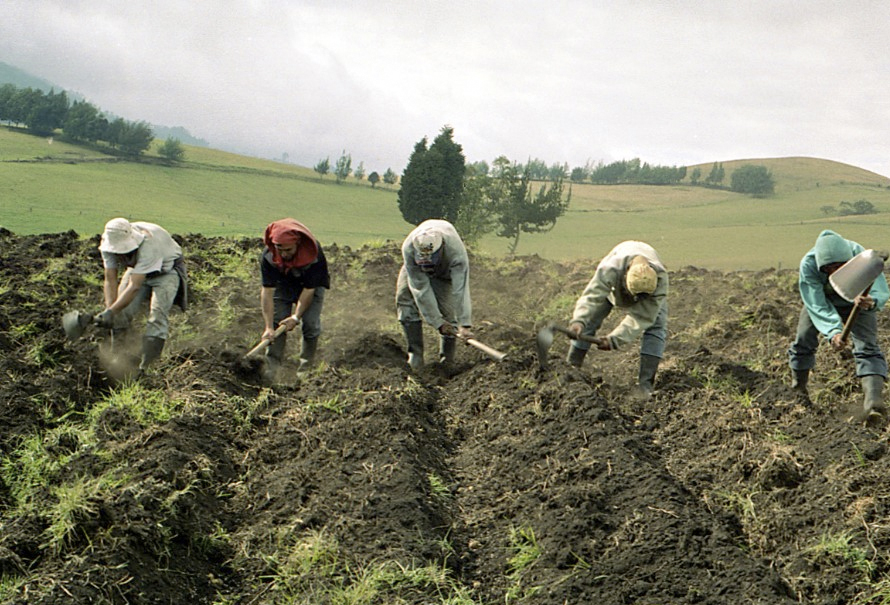 Agricultores de Nariño se preparan ante posibles efectos del fenómeno de El Niño