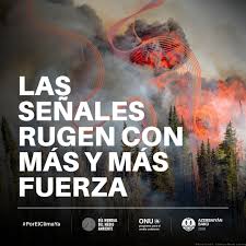 Más de 25.000 desplazados por factores climáticos en lo que va de 2026