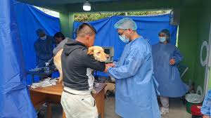 Cerca de 800 mascotas serán esterilizadas en Pasto y Tumaco