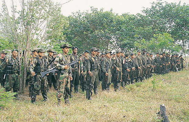 Combates, explosivos y narcotráfico, esa es la Paz Territorial del Gobernador de Nariño