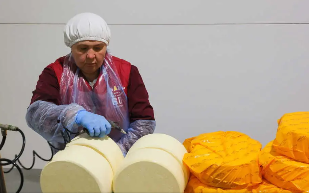 El cambio climático amenaza la producción de queso en Europa y pone en riesgo una industria histórica