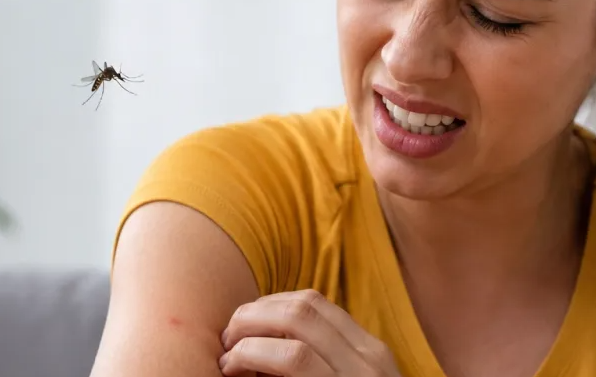 No existe la “sangre dulce”: expertos explican cómo eligen los mosquitos a quién picar