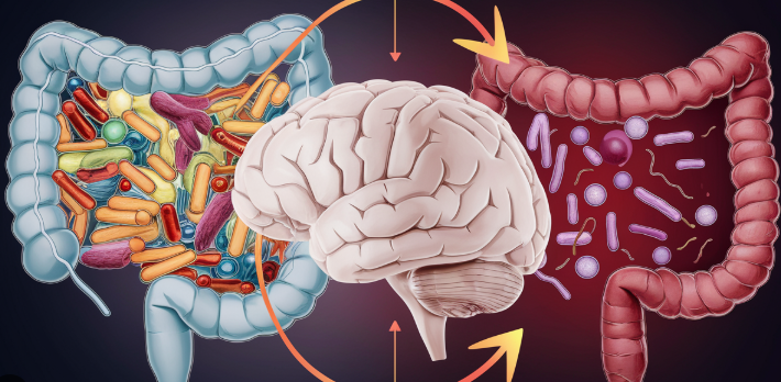 No es solo estrés: cómo la salud mental afecta el corazón, el intestino y las hormonas