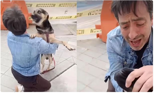 Final feliz: Jorge Hugo Marín se reencontró con Guaro tras semanas de angustia