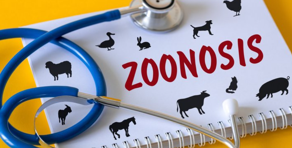 Expertos alertan sobre la importancia de prevenir las zoonosis en el Caribe colombiano