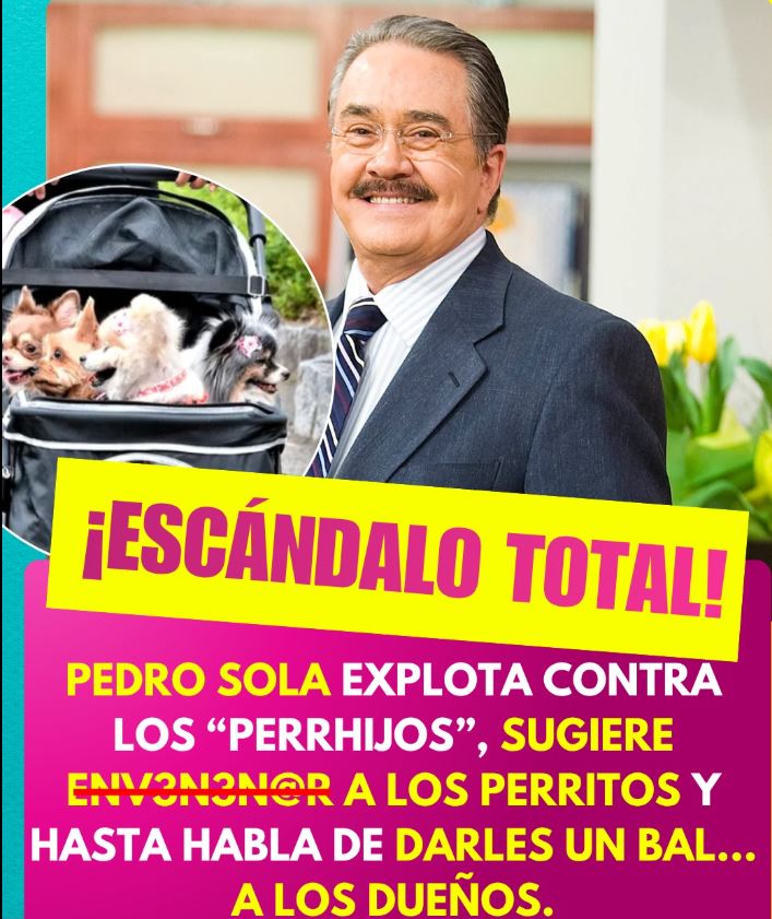 Pedro Sola enfrenta ola de críticas por polémicos comentarios sobre maltrato hacia los perros
