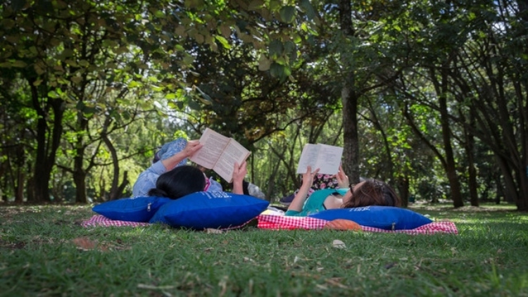 Cerca de mil ciudadanos asisten a la jornada de lectura masiva al aire libre