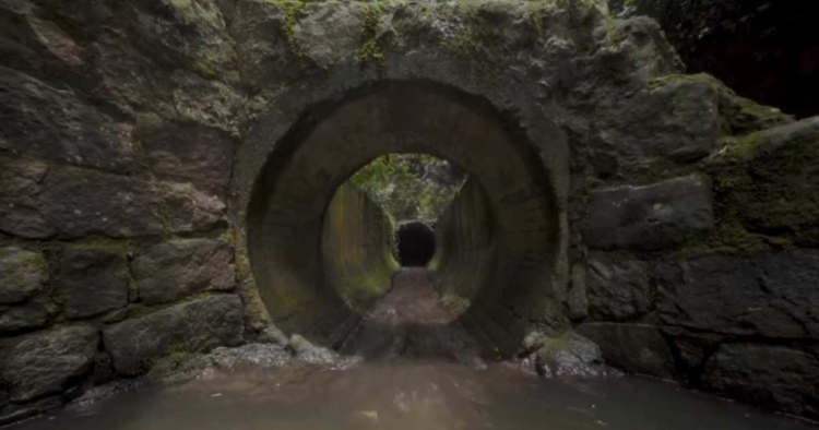 La Galería Santa Fe abre sus puertas al taller artístico ‘Mapas de agua