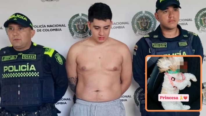 Capturan a joven por presunto maltrato animal en Dosquebradas