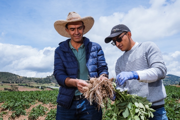 Alimentos- sostenibilidad- Comestibles Ricos S.A-