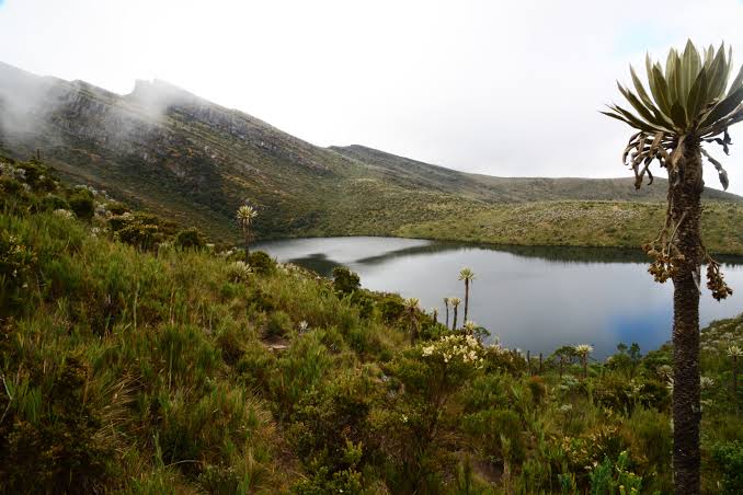 Corporación Autónoma de Cundinamarca Reporta un Balance Positivo en los Embalses