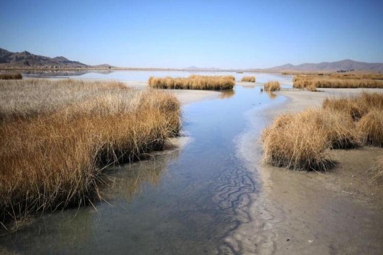 Alerta por bajos niveles de agua
