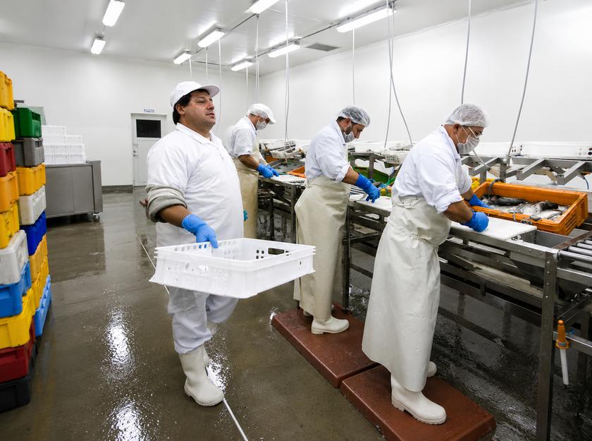 Estudio revela que 49 % de los colombianos ocupados gana menos del un salario mínimo