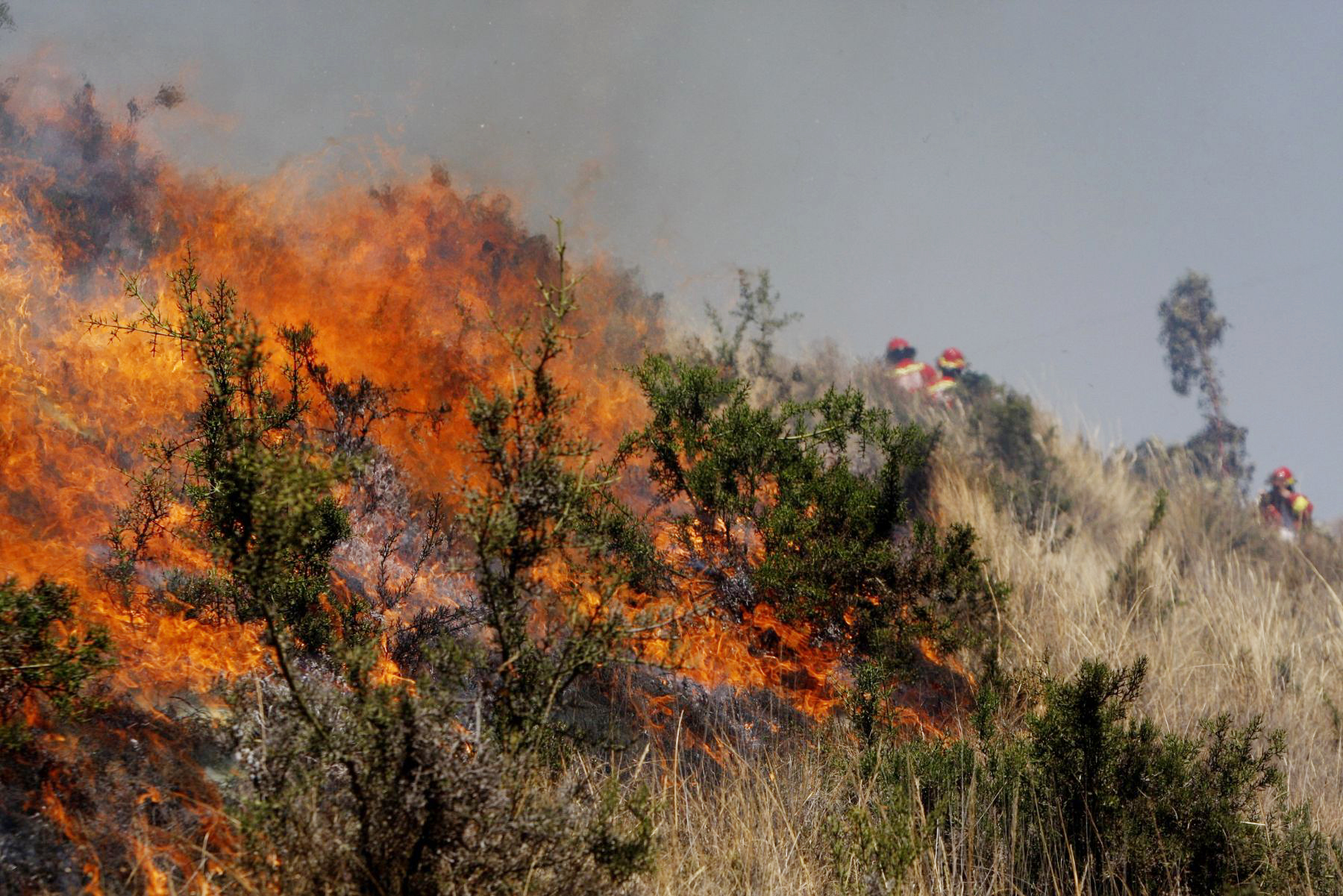 Incendios provocados destruyen las montañas de Linares y Sotomayor, en Nariño