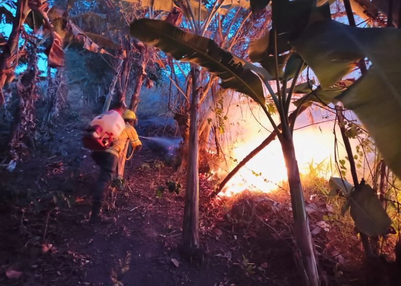Autoridades controlaron cuatro incendios forestales en Cundinamarca