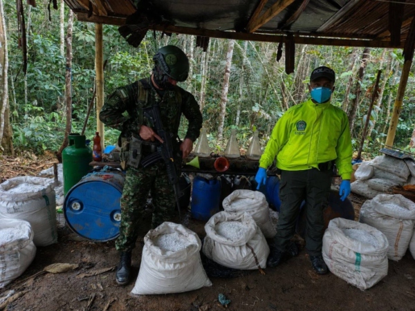 Golpe al narcotráfico en Putumayo: Ejército ubicó complejo cocalero del GAO-r 48