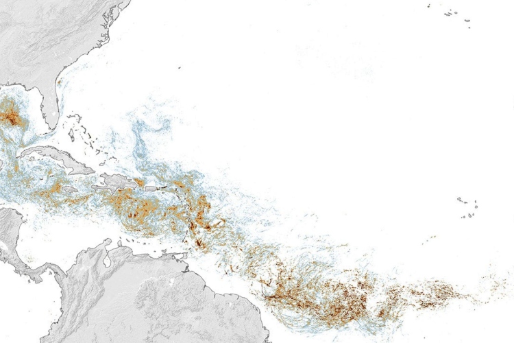 Alerta satelital por Sargazo: el cinturón de algas alcanza niveles sin precedentes
