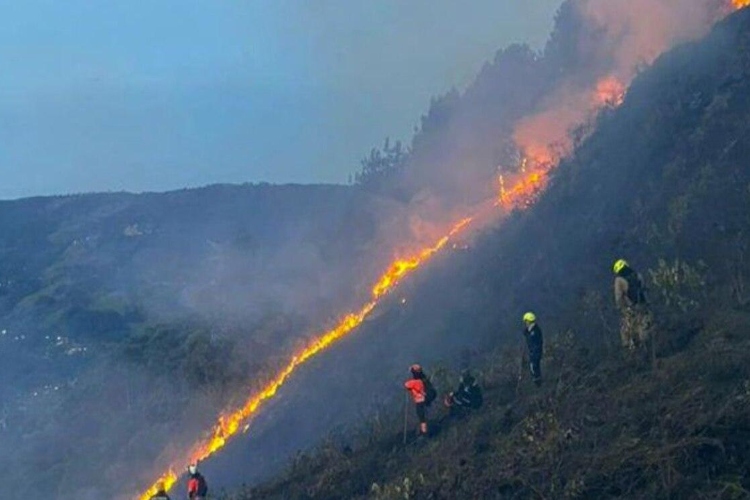 Capturado el presunto responsable del incendio en Las Palmas de Medellín: cámaras fueron clave para localizarlo